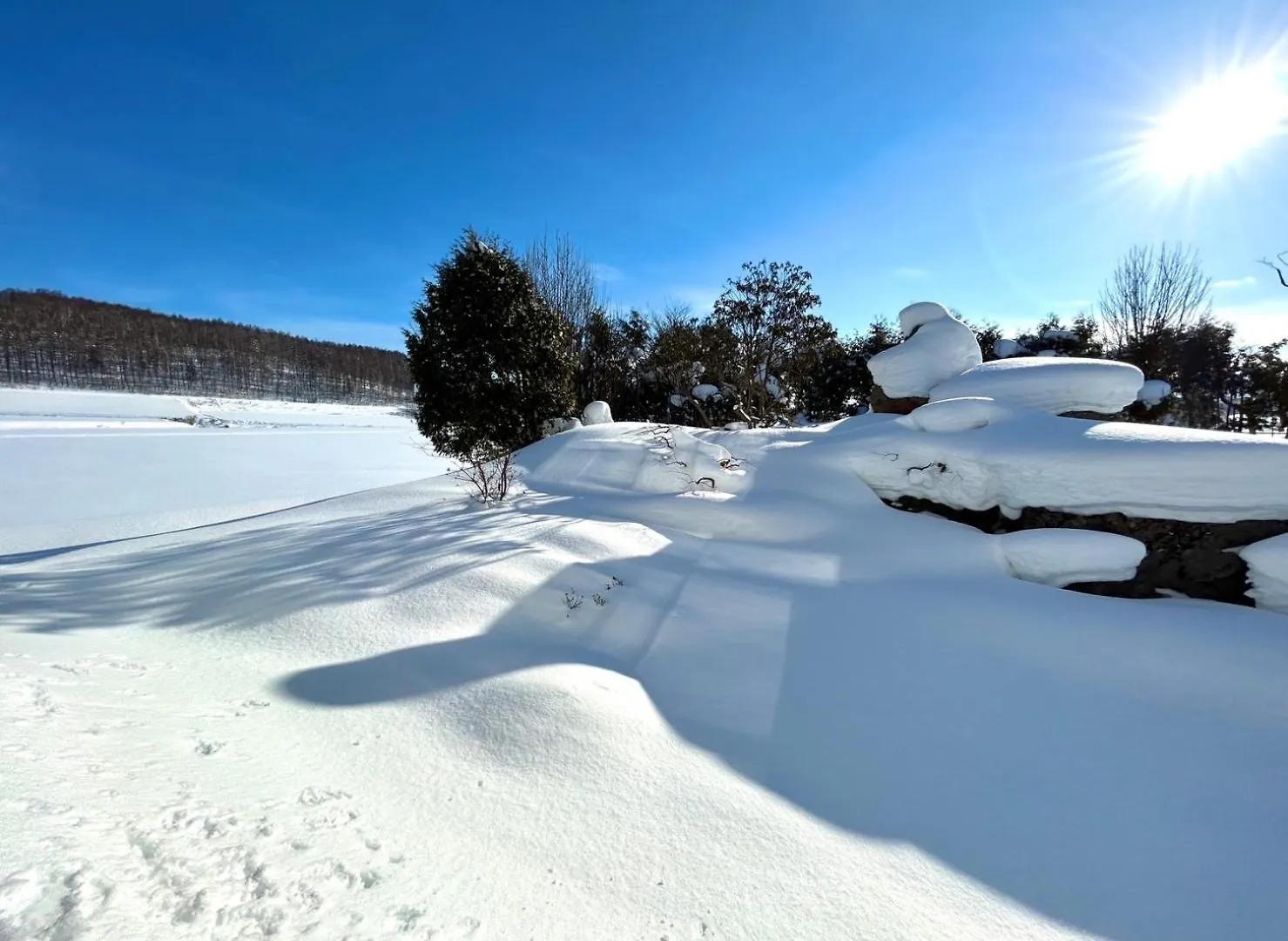 かんたろうもねたろうの母家 Villa Furano